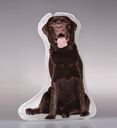 Picture of LABRADOR CHOCOLATE CUSHION